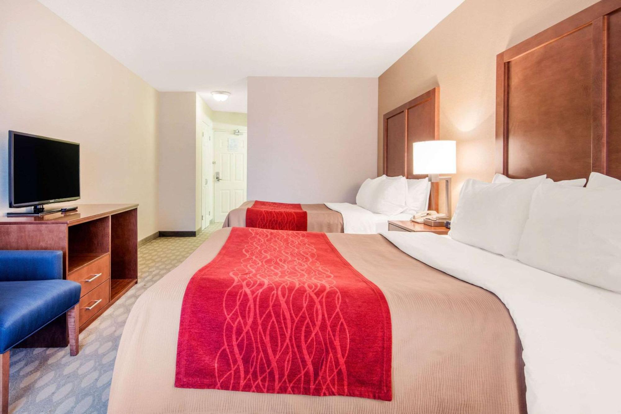 Suite Lit Queen-Size avec Canapé-Lit