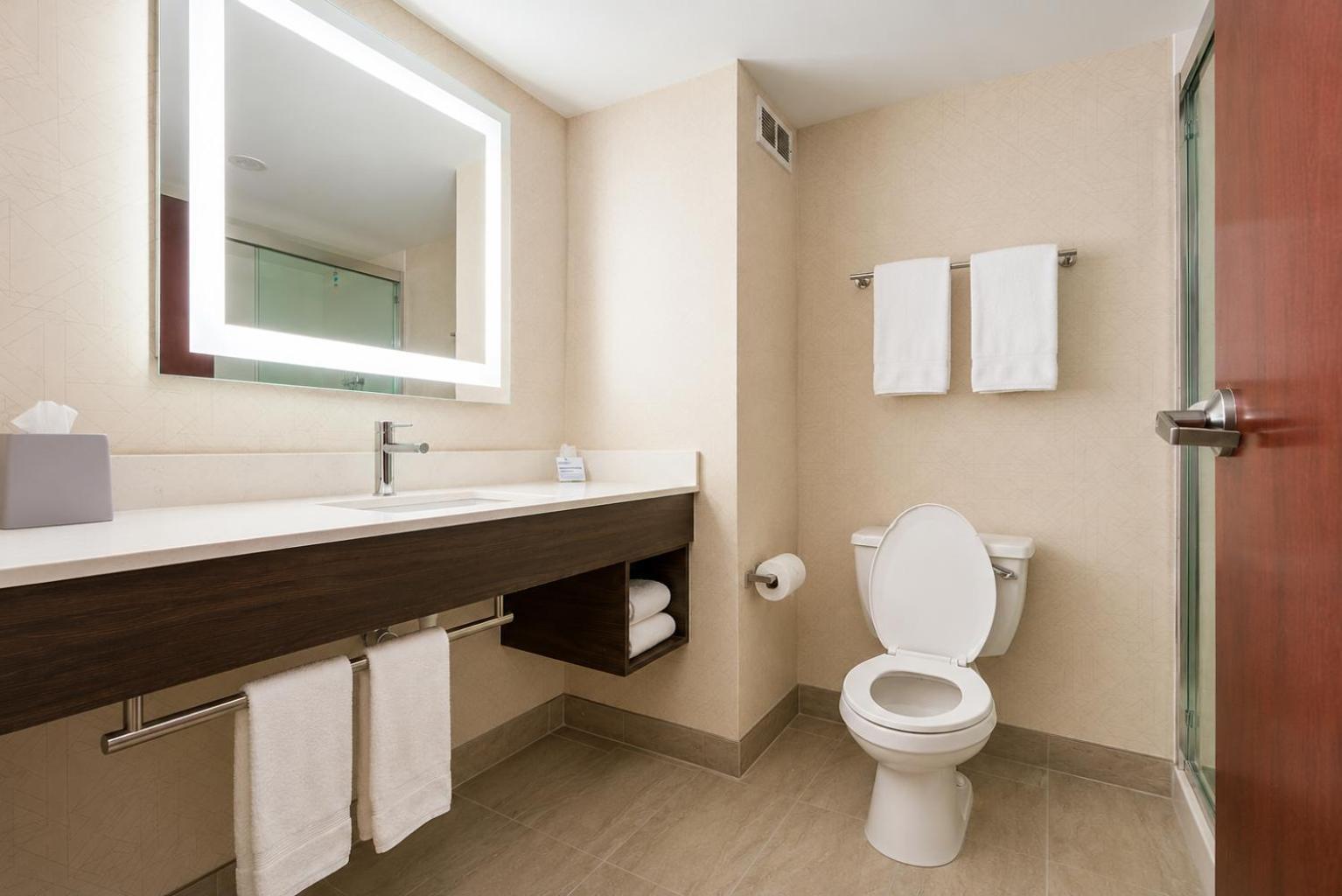 Suite with Two Beds - Non-Smoking
